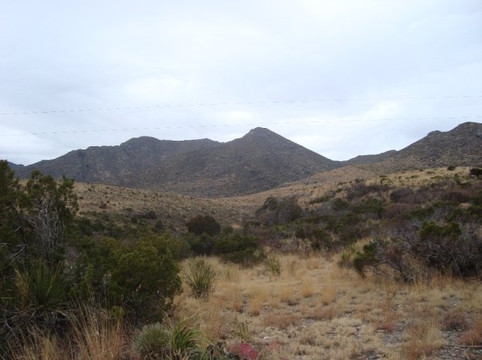 Permian Reef Geology Trail-Guadalupe Mountains National Park必去景点
