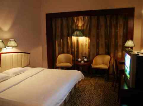 恒元大酒店-客卧