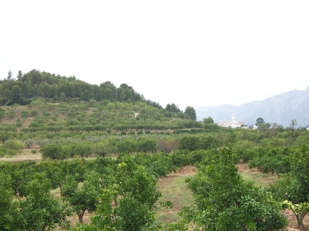 Jalon Valley景点图片