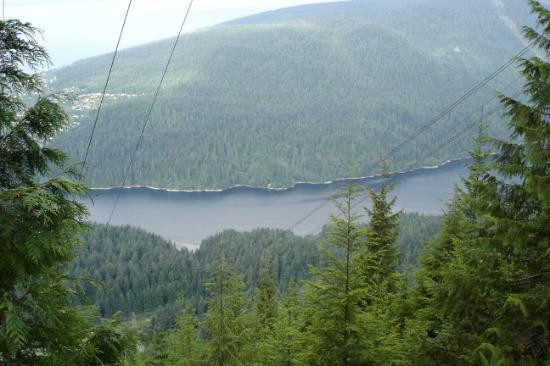 The Grouse Grind-北温哥华必去景点