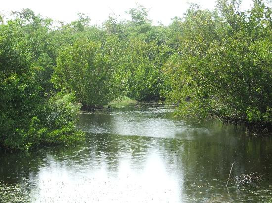 伊莉萨白女王二世植物园-大开曼岛必去景点