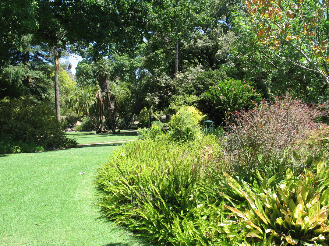 Albury Botanic Garden景点图片
