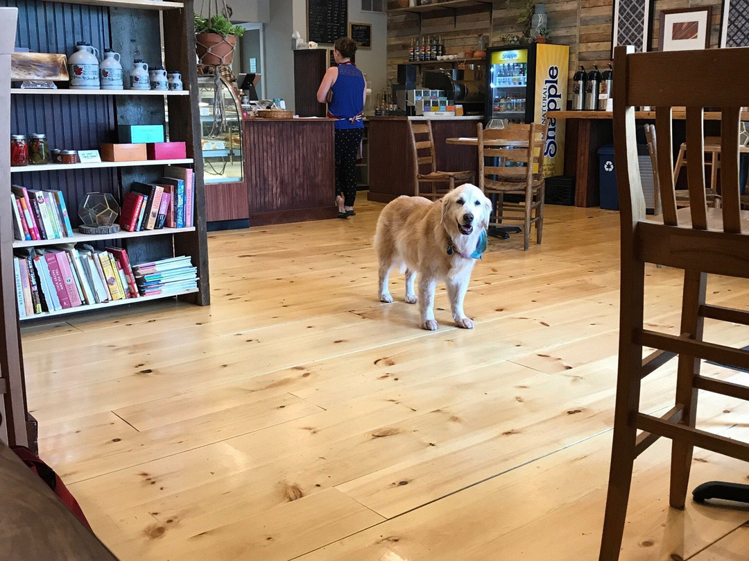 Autumn Nomad Cakes & Cafe