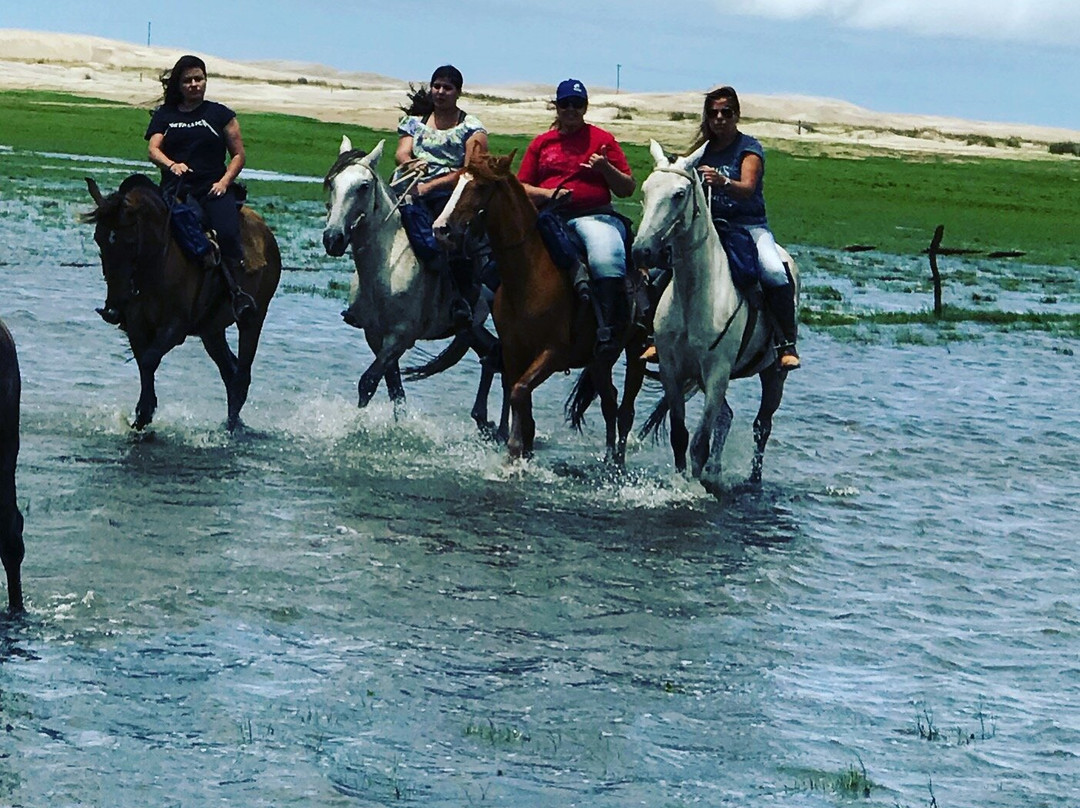 Haras Itapua Sul