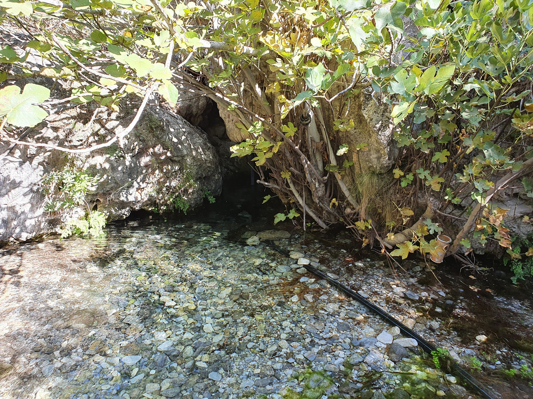 Nacimiento Del Río Bermuza景点图片