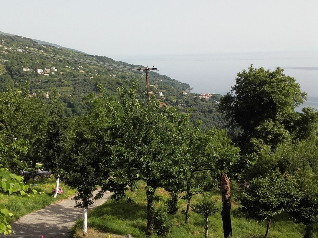 Guesthouse Choreutra