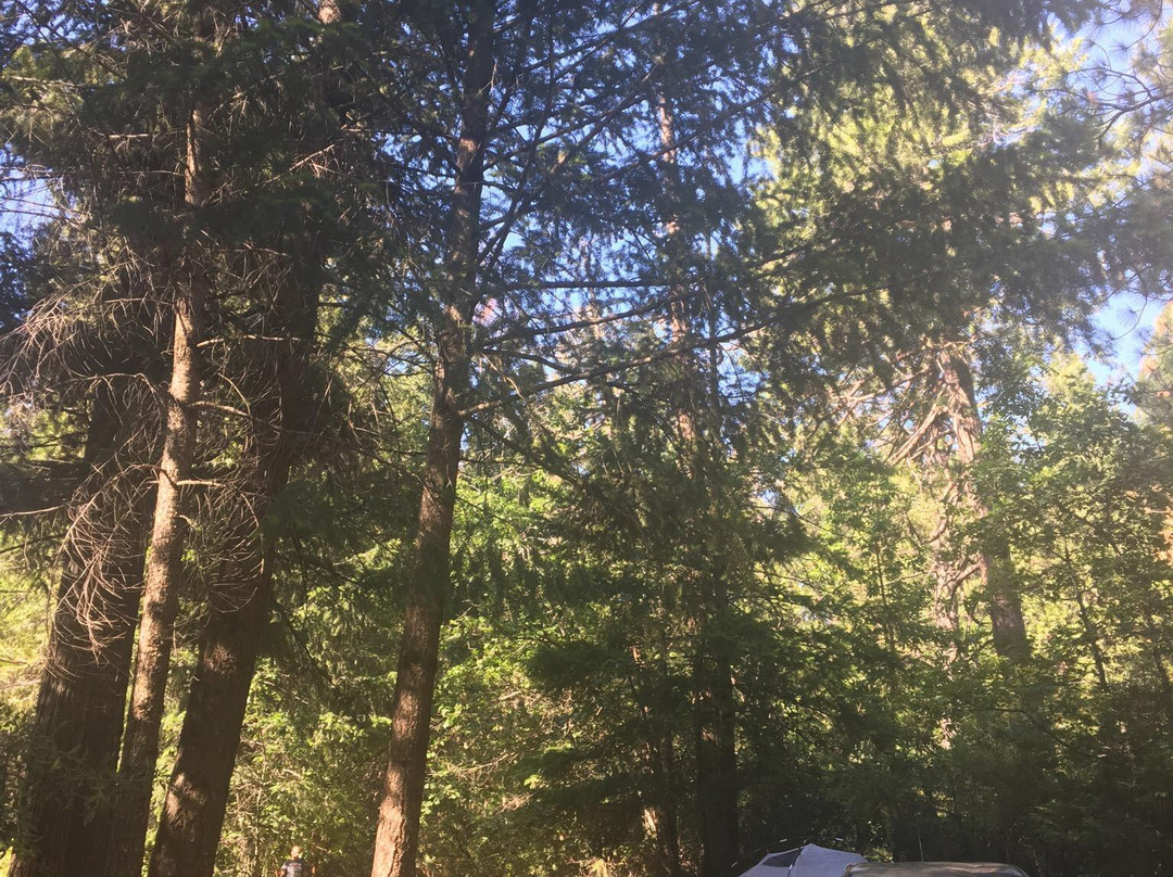 Camp Chiquita Campground