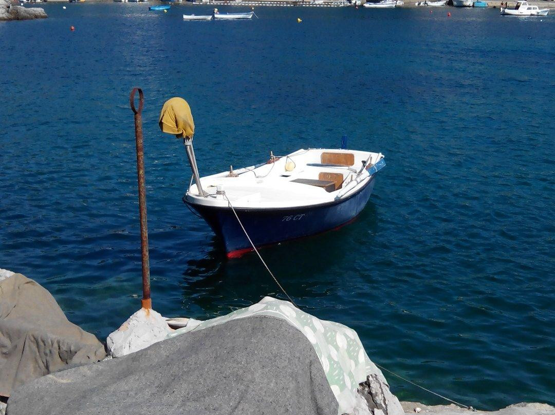 Apartments Miovic