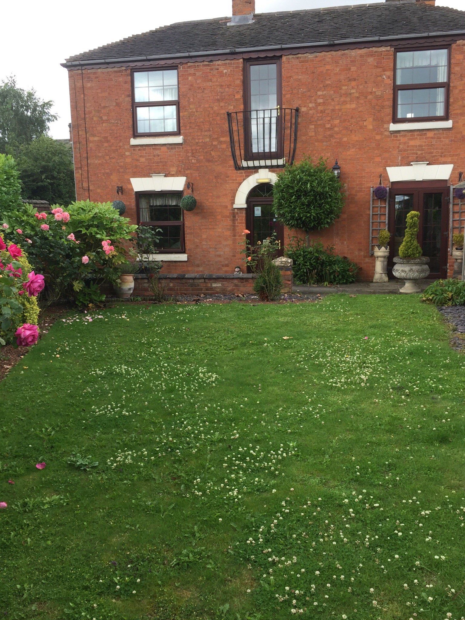 Burbage Guest House-酒店景观
