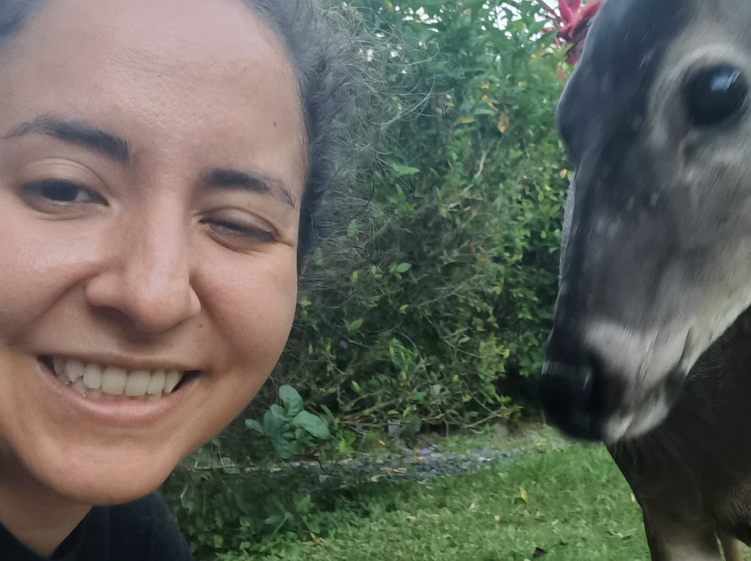 Jungle Lodge At Wild Sun Rescue Center主图