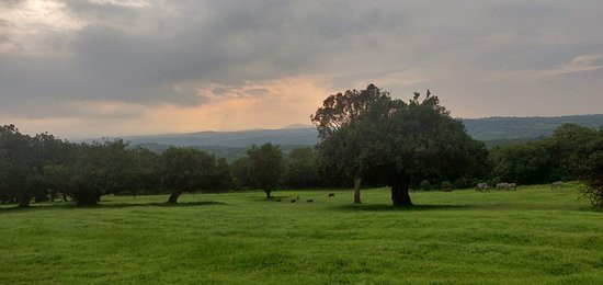 阿布岱尔城市俱乐部酒店主图