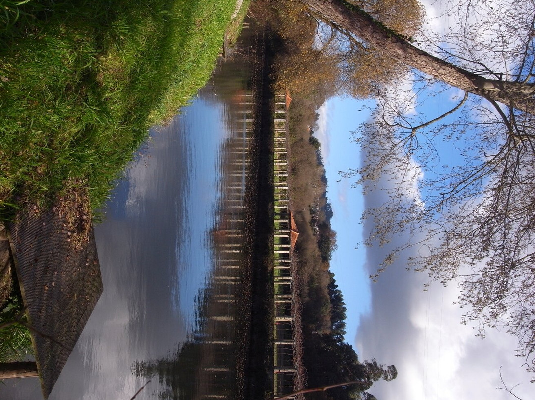 Passeio das Margens do Ave景点图片