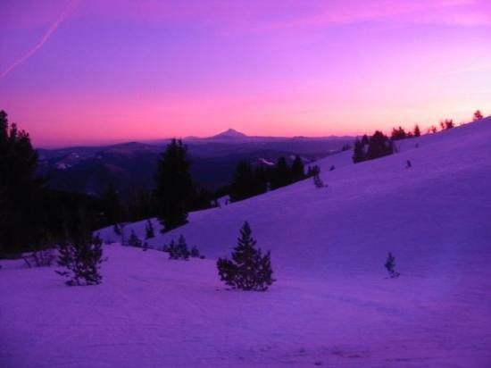 Mt. Hood Adventure Park at Skibowl-Government Camp必去景点