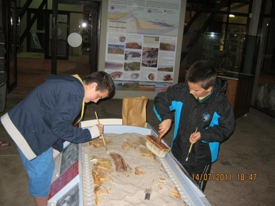 Addo Raptor and Reptile Centre-Addo Elephant National Park必去景点