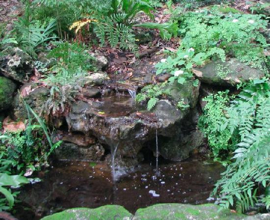 Kanapaha Botanical Gardens-盖恩斯维尔必去景点