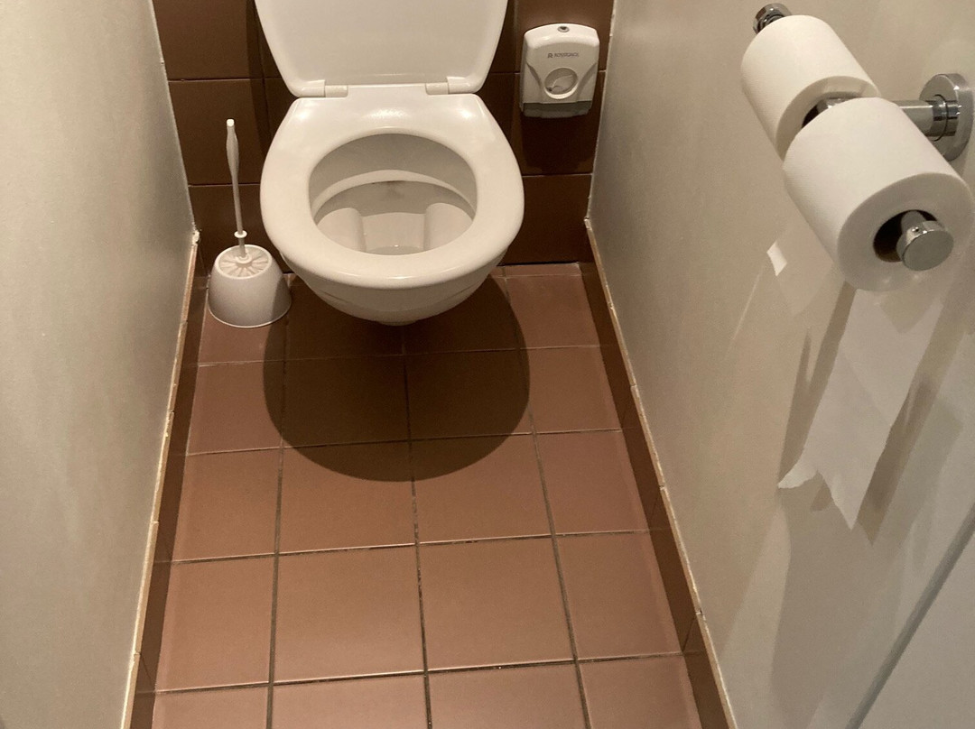 ibis Styles Nancy Centre Gare主图