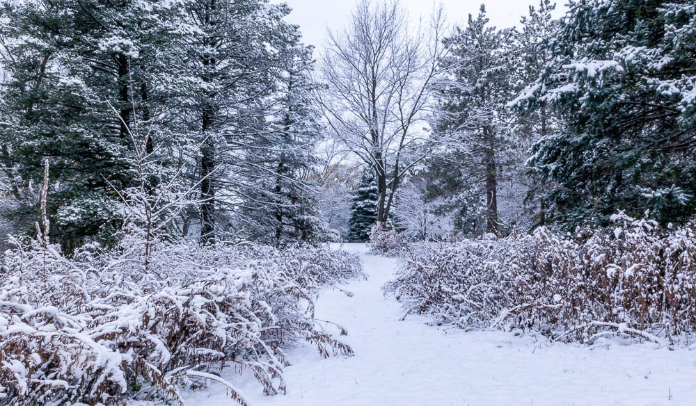 Holy Wisdom Monastery-Middleton必去景点