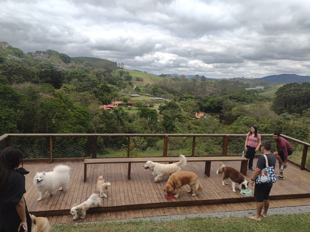 Pousada Gaia Viva主图