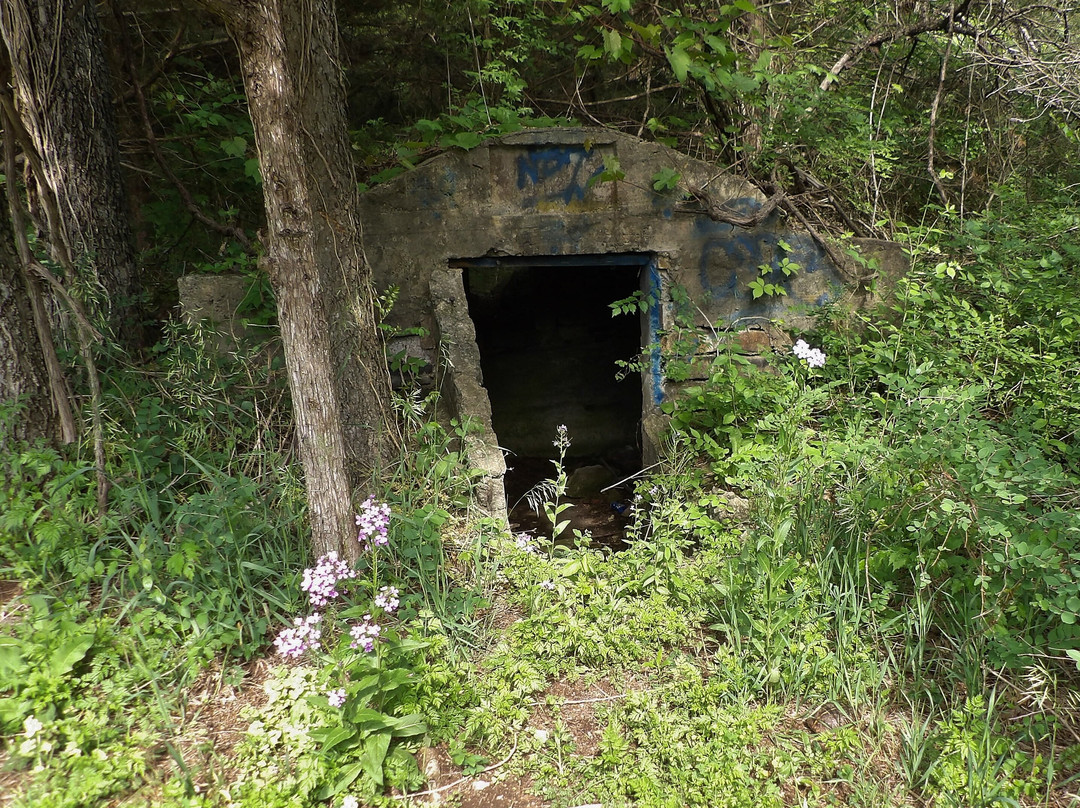 Lehigh Portland Trails-艾奥拉必去景点