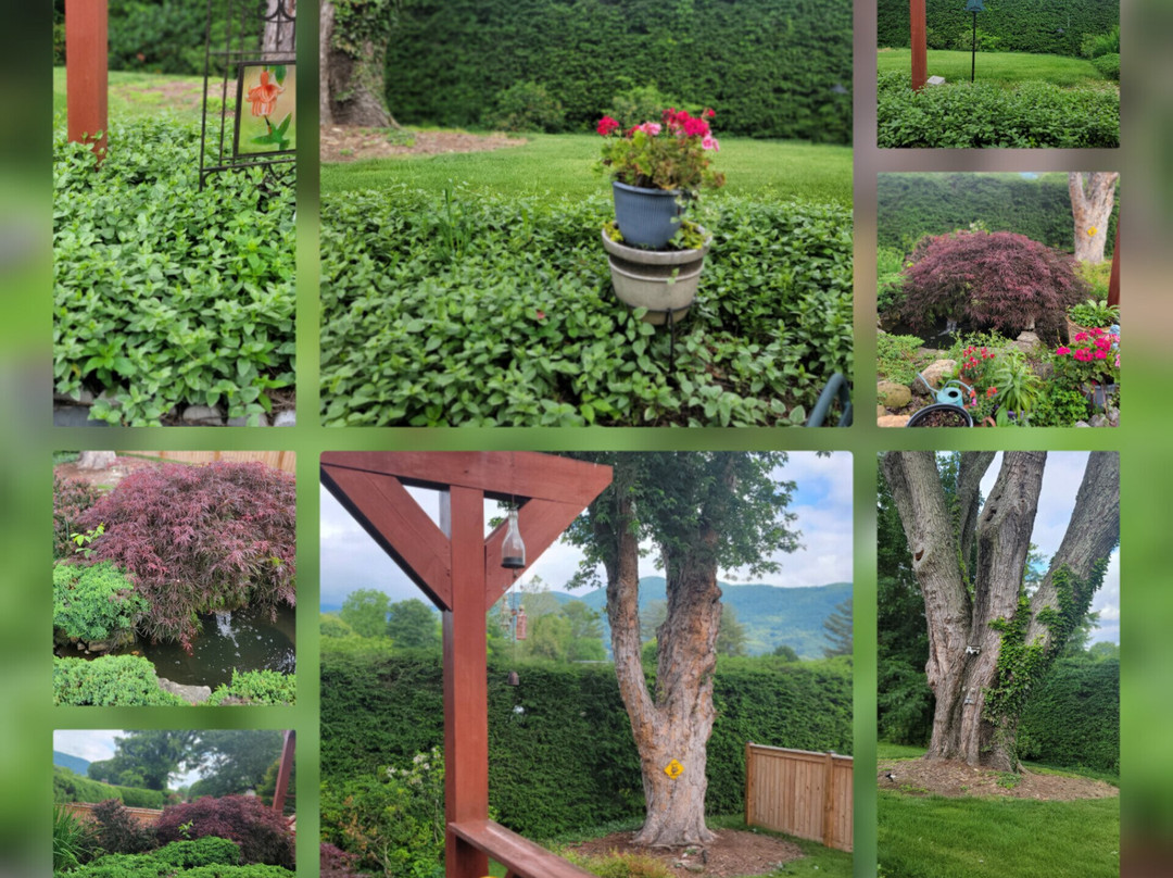 Brookside Mountain Mist Bed & Breakfast主图