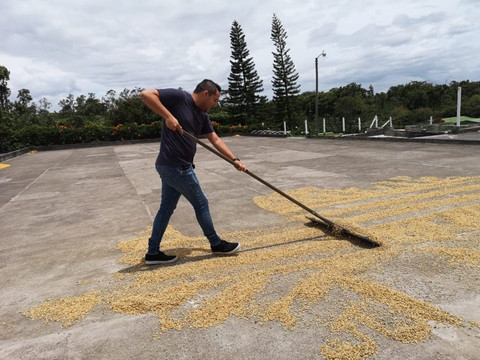 Vive Travels-圣何塞必去景点