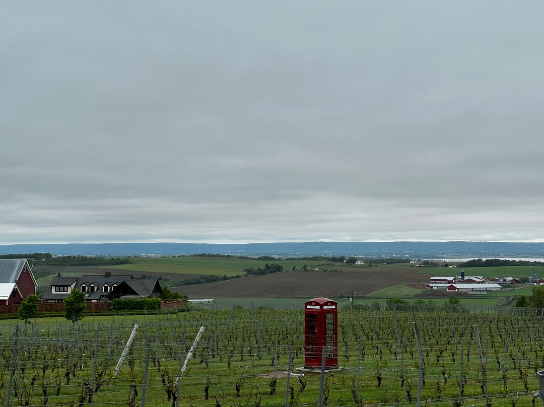 Anchor Tours-哈利法克斯必去景点