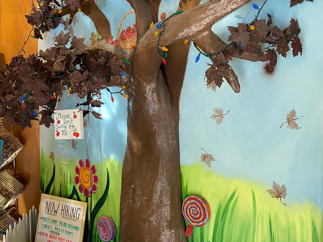 The Chocolate Tree景点图片