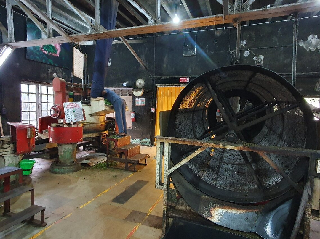 Lockhart Tea Tourism-Devikulam必去景点