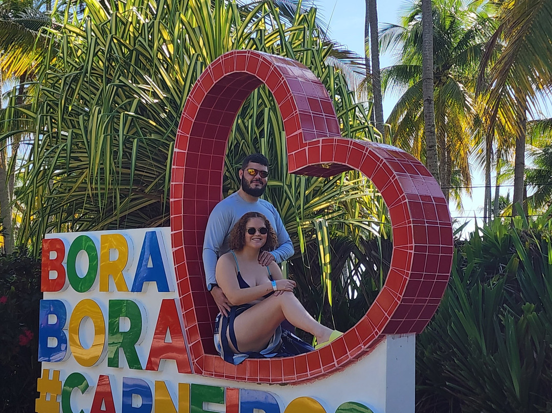 LB Transfer-嘎林海斯港必去景点