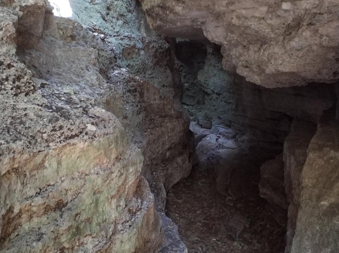 Paratge De les Estunes-Banyoles必去景点