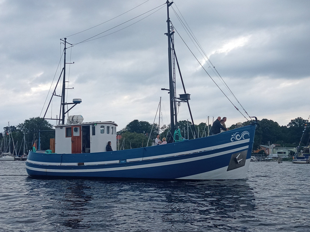 BoatNow Rostock Elektroboote景点图片