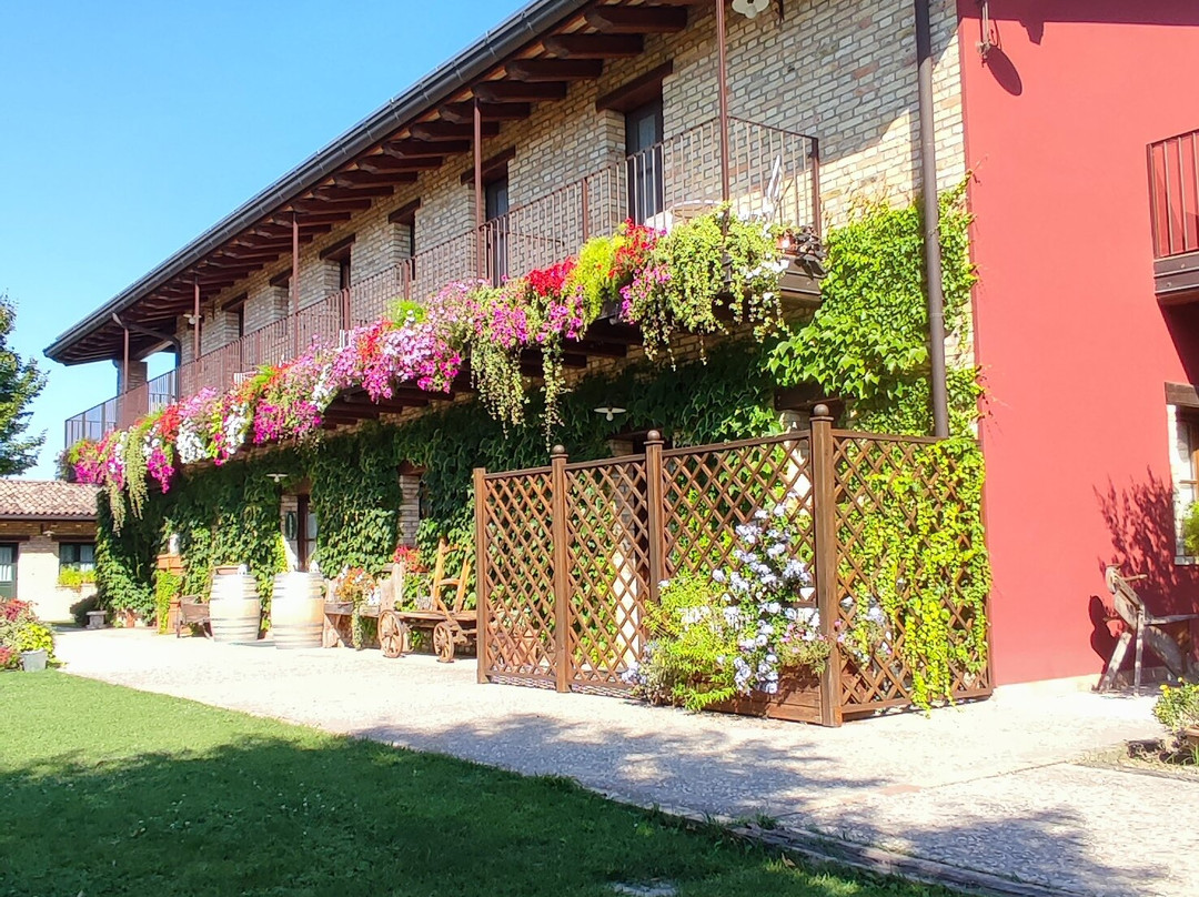 Alloggio Agrituristico Albafiorita主图