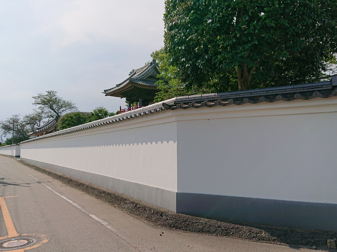 Nogoji Temple(Hydrangea Temple)景点图片