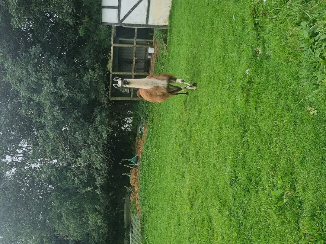 Old Mill Farmhouse主图