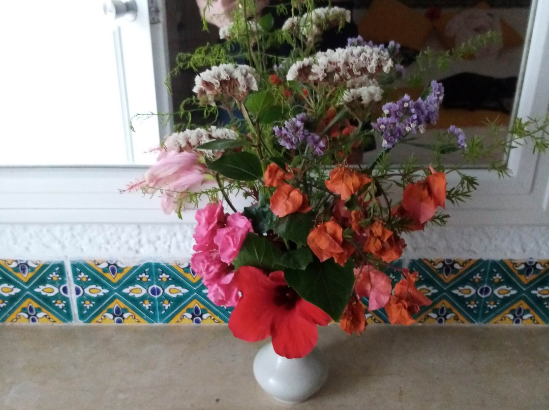 Seabel Aladin Djerba主图