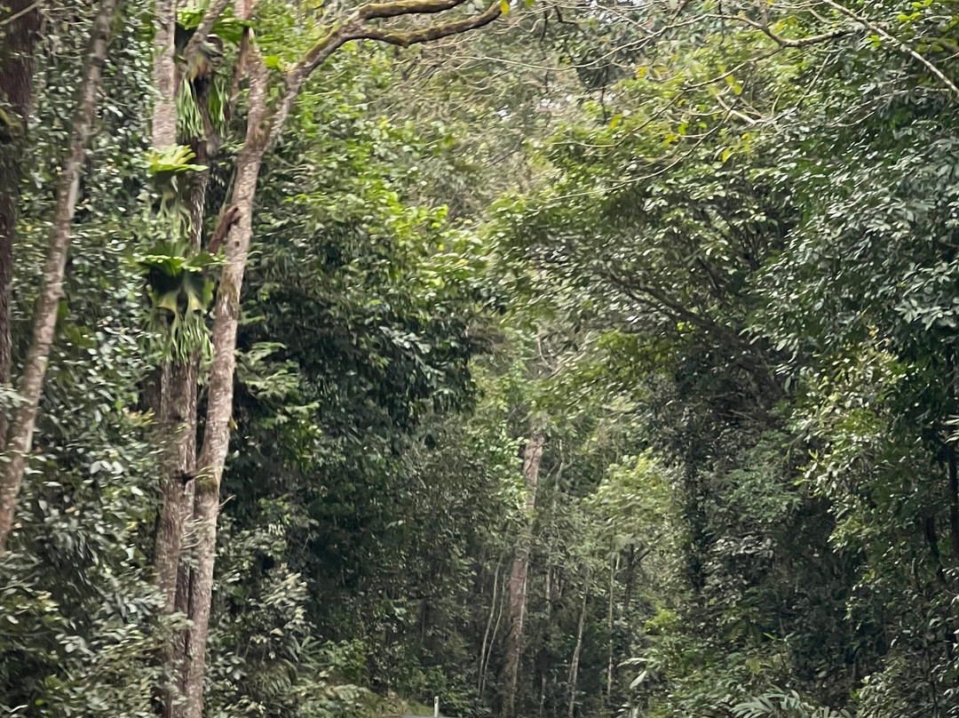 Chilverton Cottages & Day Spa主图