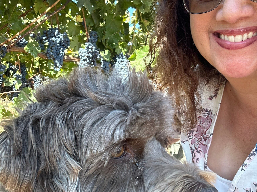 Uncorked Wine Tours-帕索罗布尔斯必去景点