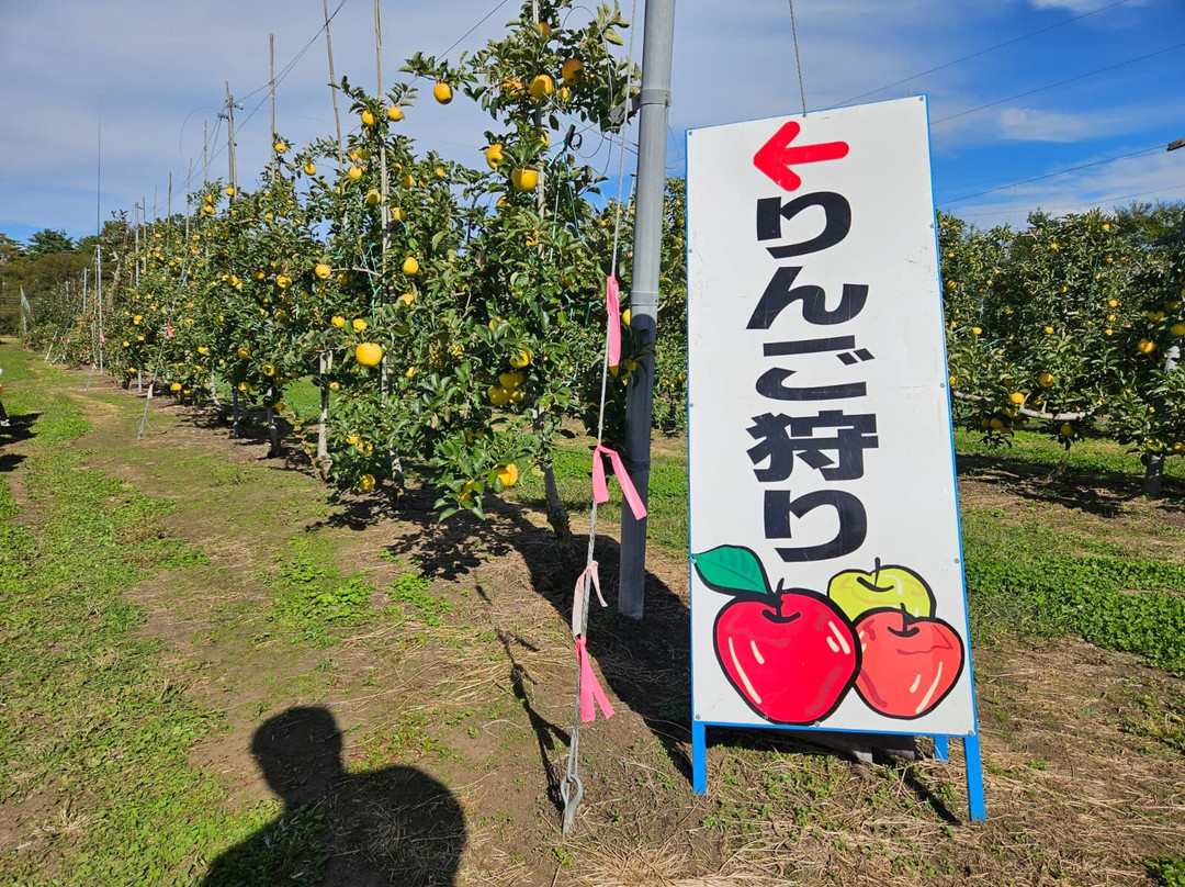 Miharasi Farm-伊那市必去景点