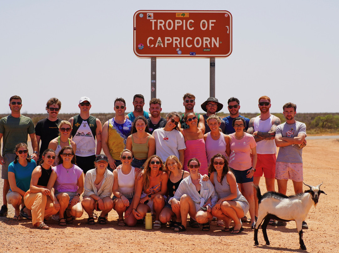 Why Not Bus-珀斯必去景点