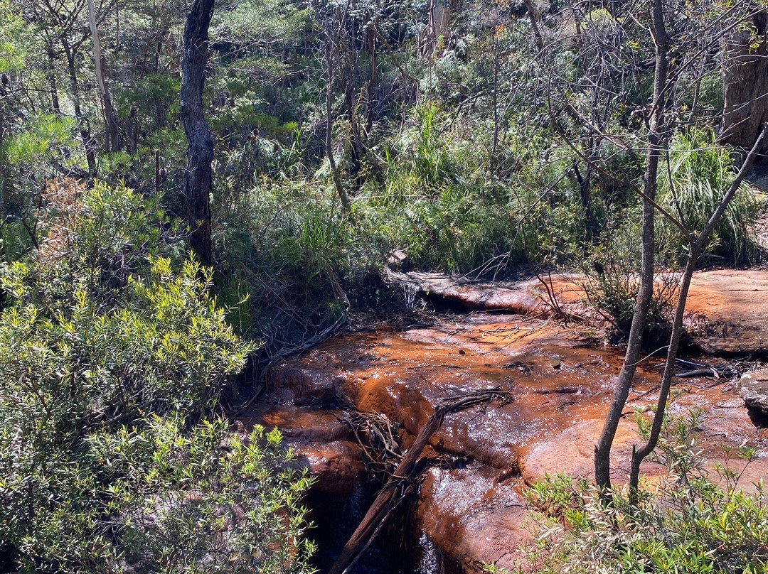 North Lawson Park景点图片
