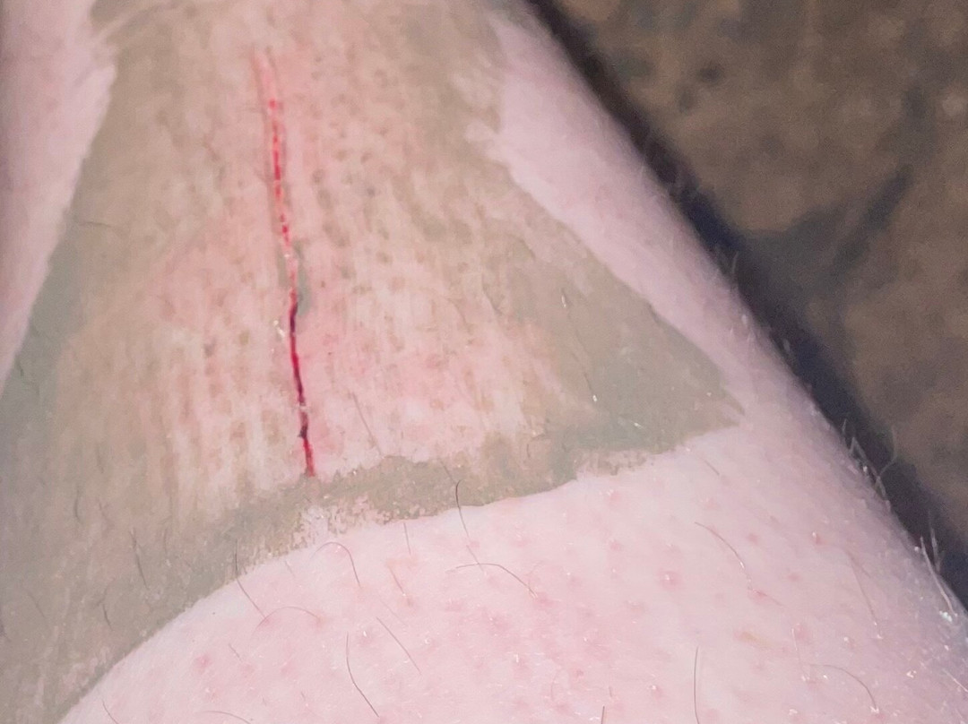 Bayville Scream Park-Bayville必去景点