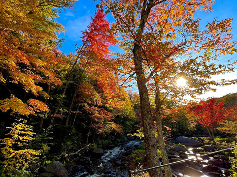 Stone Arch Bridge-Stoddard必去景点