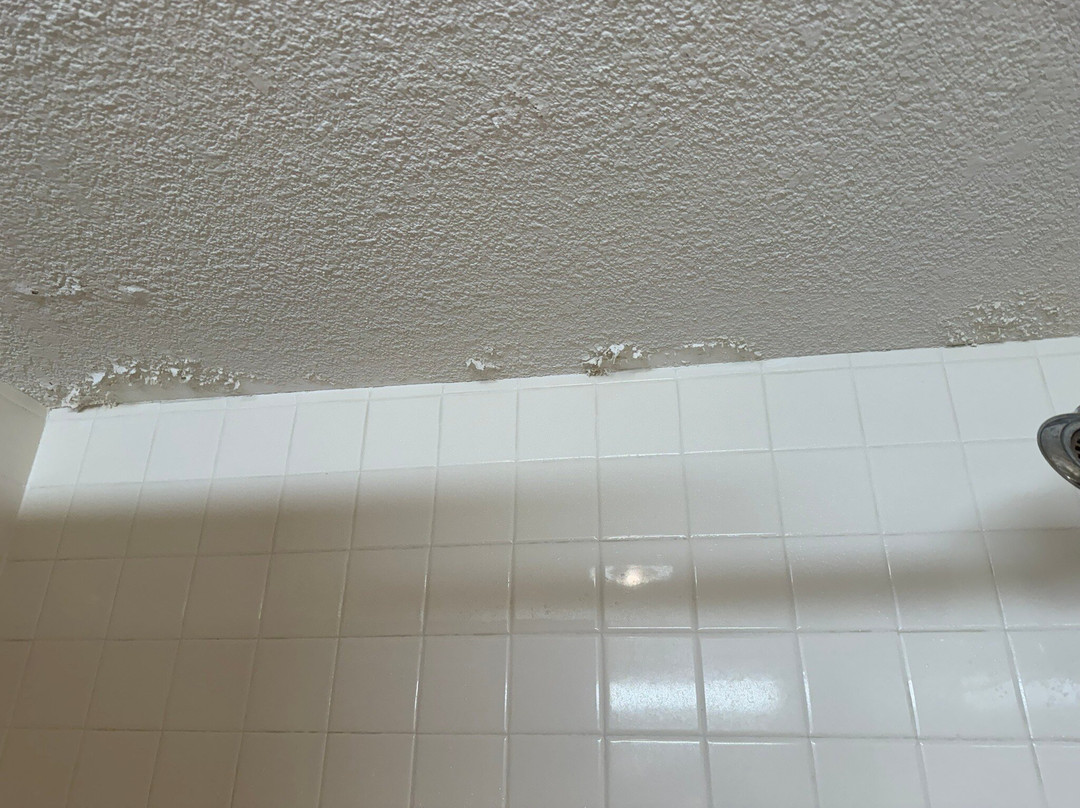 Holiday Inn Alexandria主图