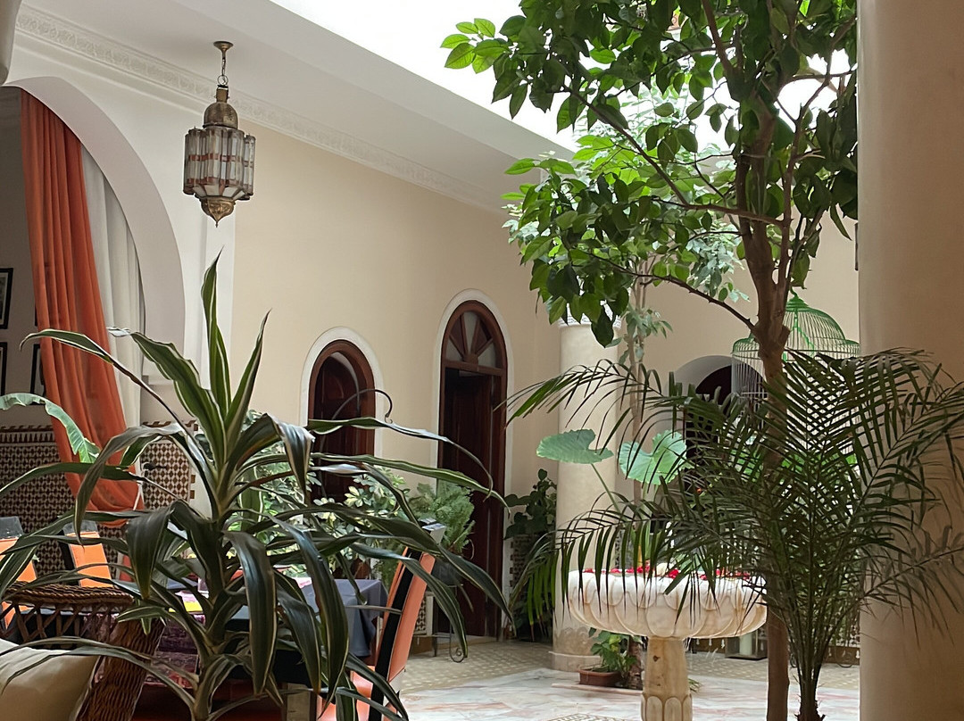 Active Treks Morocco-马拉喀什必去景点