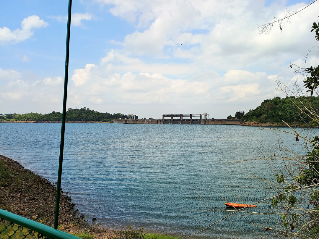 Bhadra River Project Dam景点图片