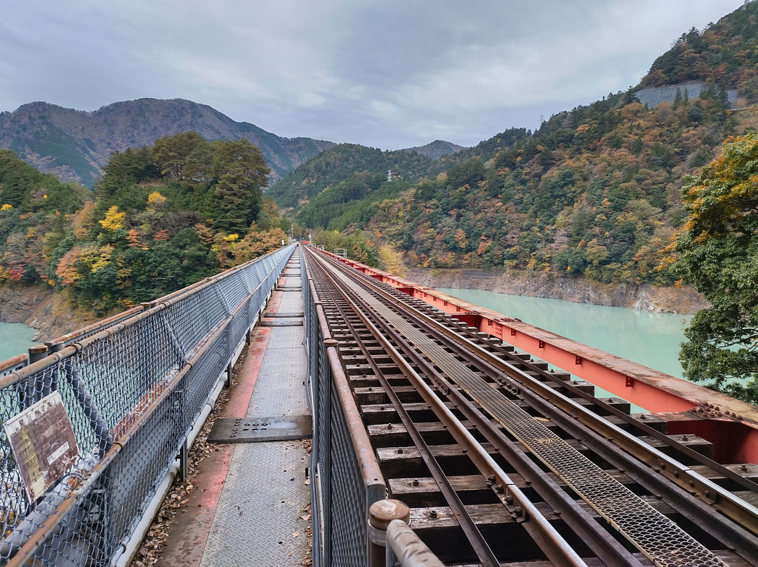 Okuoikojo Station景点图片