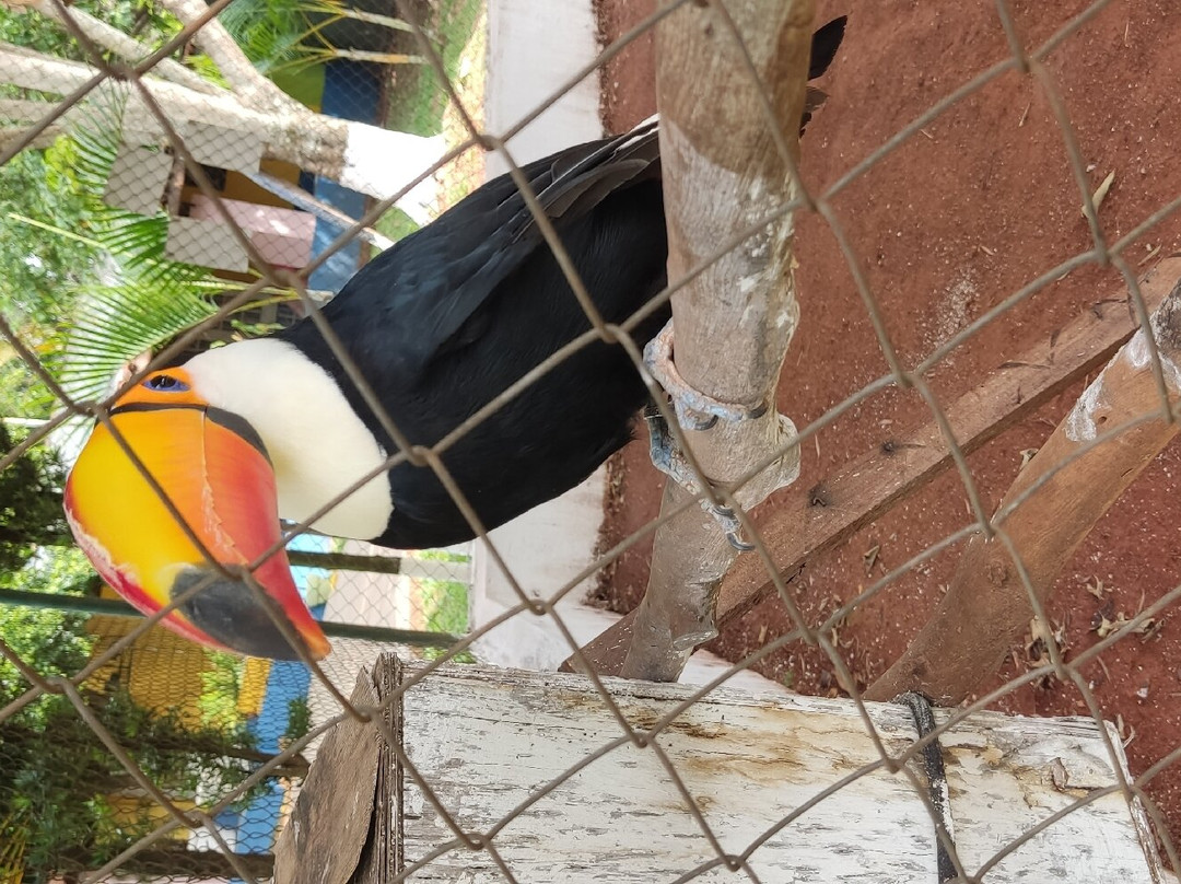 Villa Verde Hotel主图