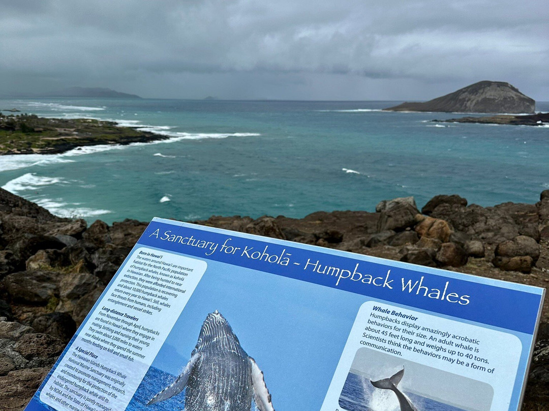Hawaii Bucket List Tours-火奴鲁鲁必去景点