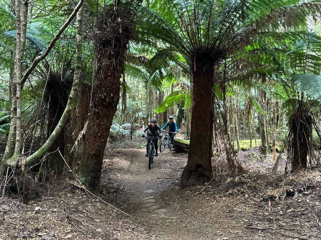 Women's MTB Retreats Tasmania-Derby必去景点