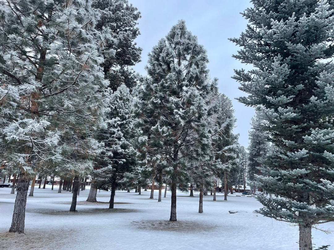 Double Arrow Resort主图